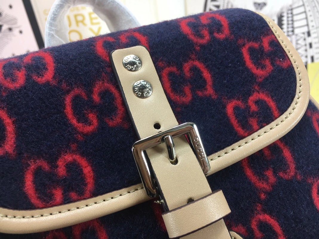 WellDesigned 3005 Gucci AAA Quality Backpacks For Women