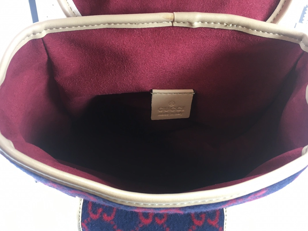 WellDesigned 3005 Gucci AAA Quality Backpacks For Women
