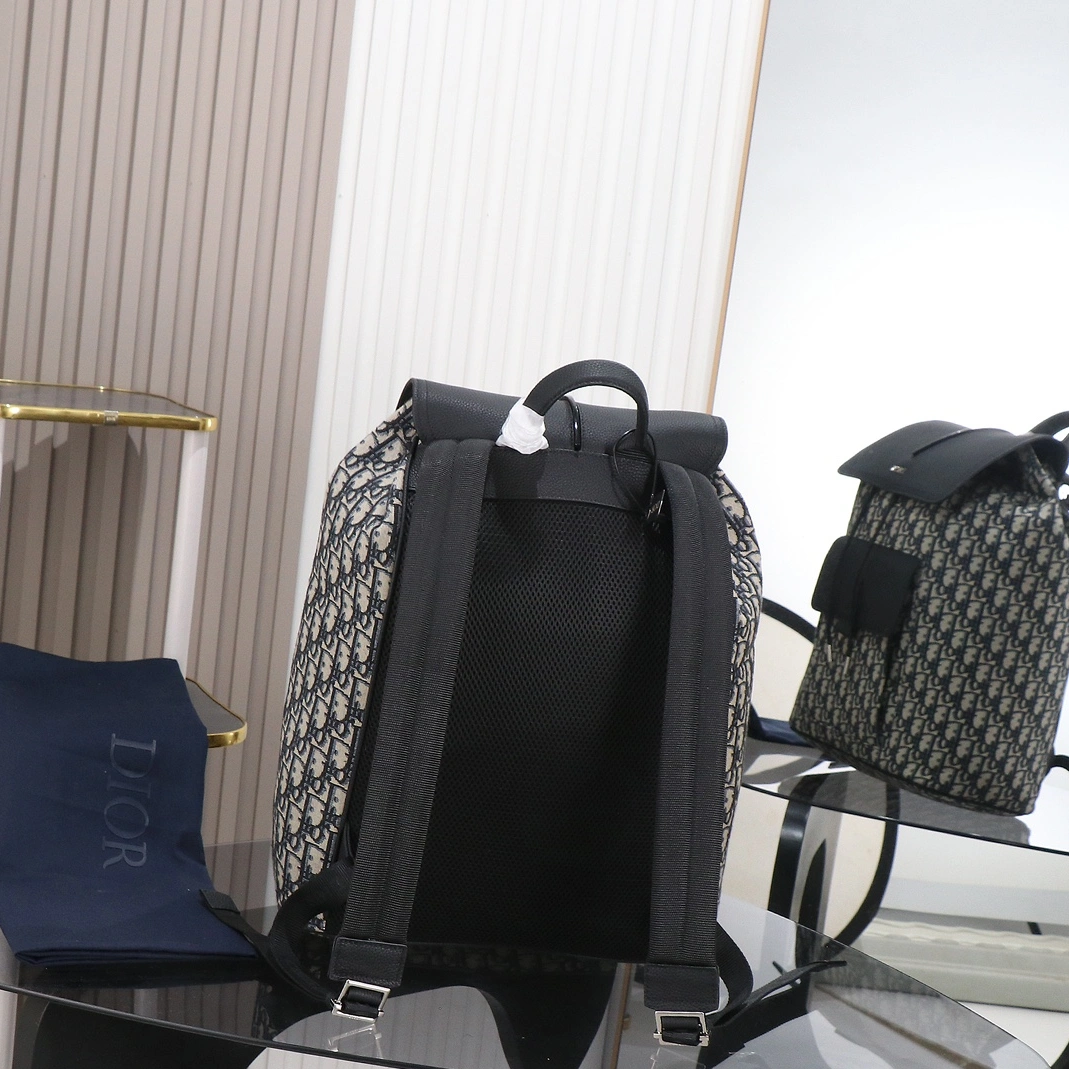 WellDesigned 3302 Christian Dior AAA Man Backpacks