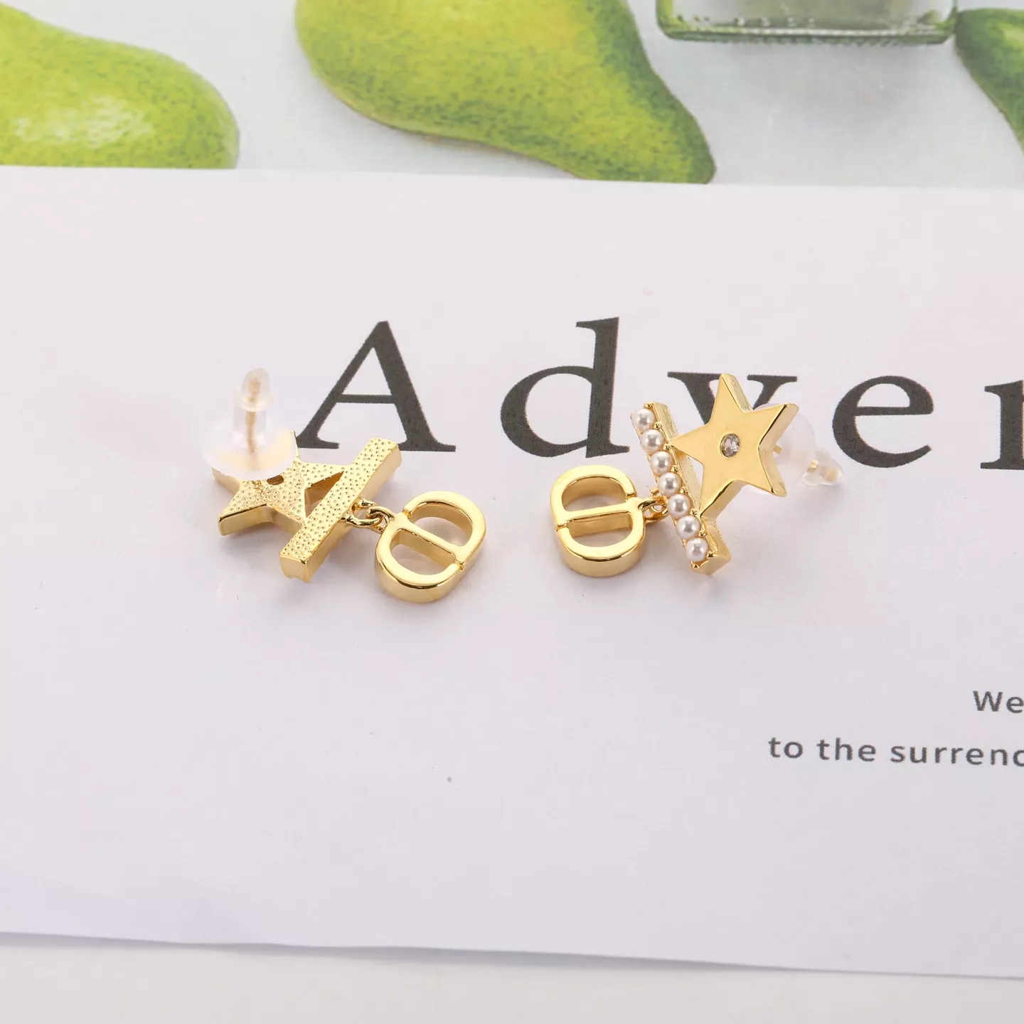 WellDesigned 3794 Christian Dior Earrings For Women