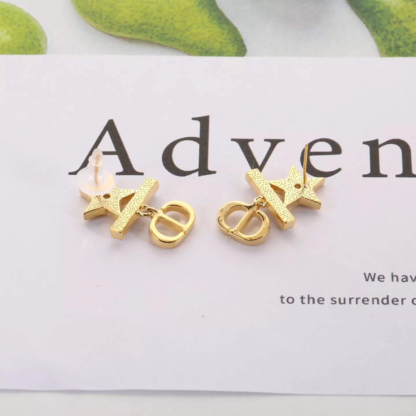 WellDesigned 3794 Christian Dior Earrings For Women