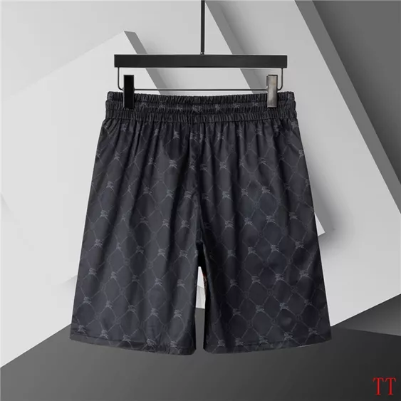 WellDesigned 4027 Burberry Pants For Men