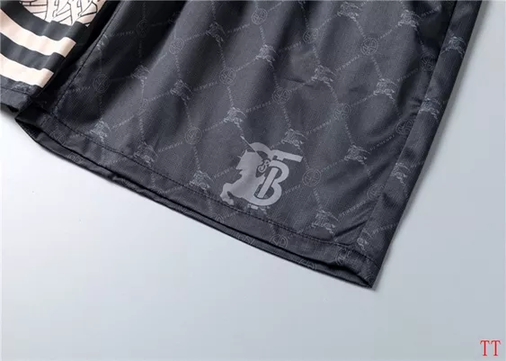 WellDesigned 4027 Burberry Pants For Men