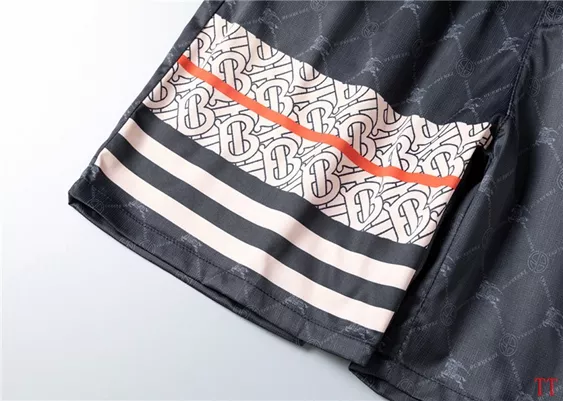 WellDesigned 4027 Burberry Pants For Men