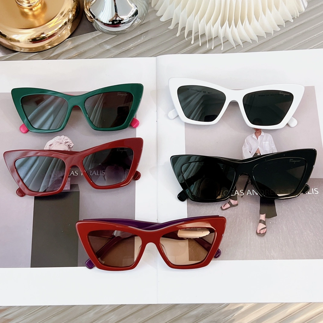 WellDesigned 6369 Salvatore Ferragamo AAA Quality Sunglasses