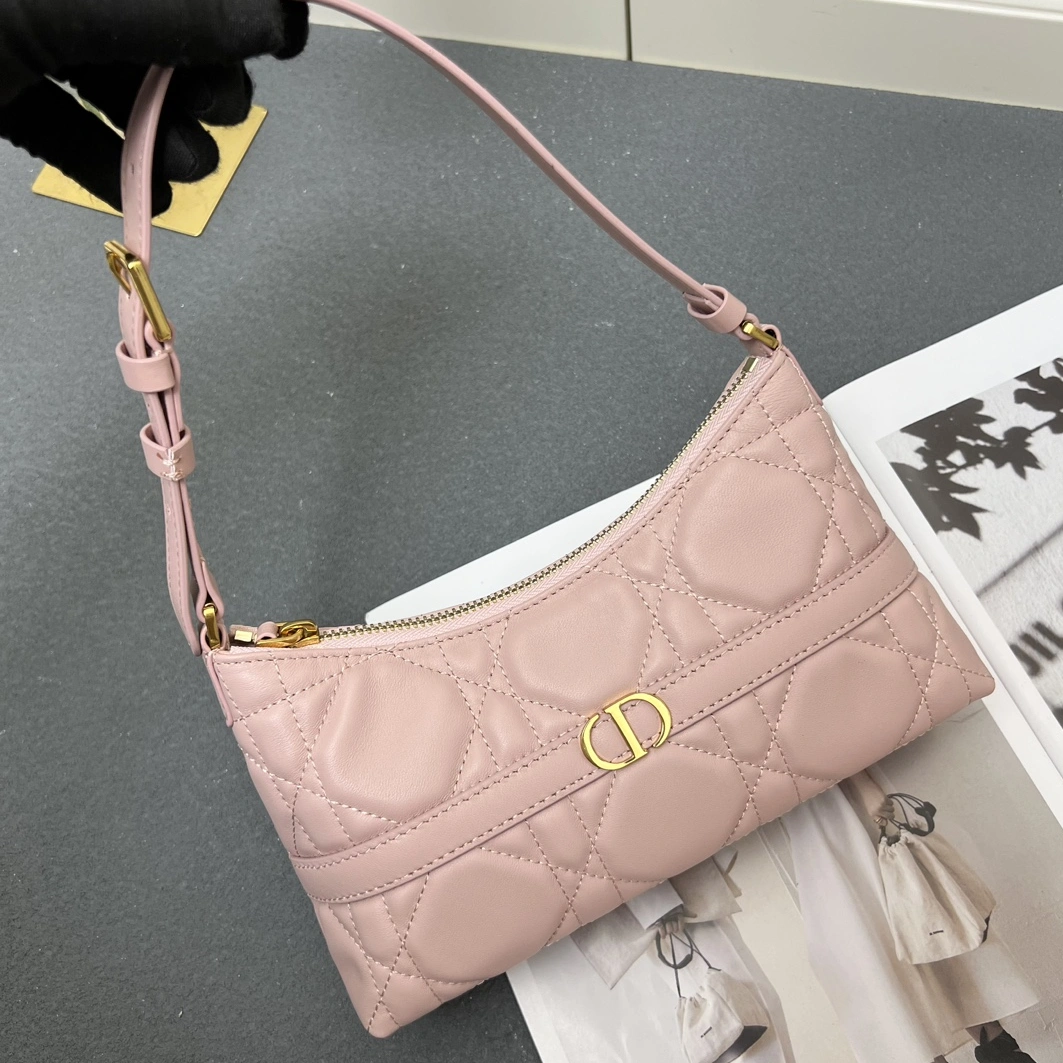 WellDesigned 6517 Christian Dior AAA Quality Shoulder Bags For Women