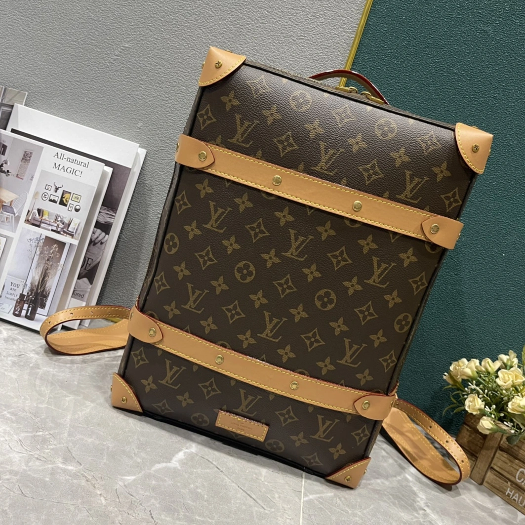 WellDesigned 6630 Louis Vuitton LV AAA Man Backpacks