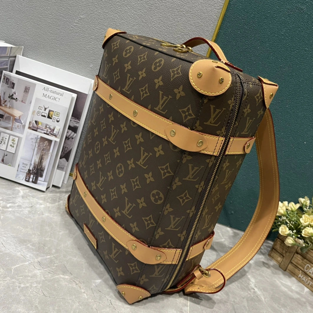 WellDesigned 6630 Louis Vuitton LV AAA Man Backpacks