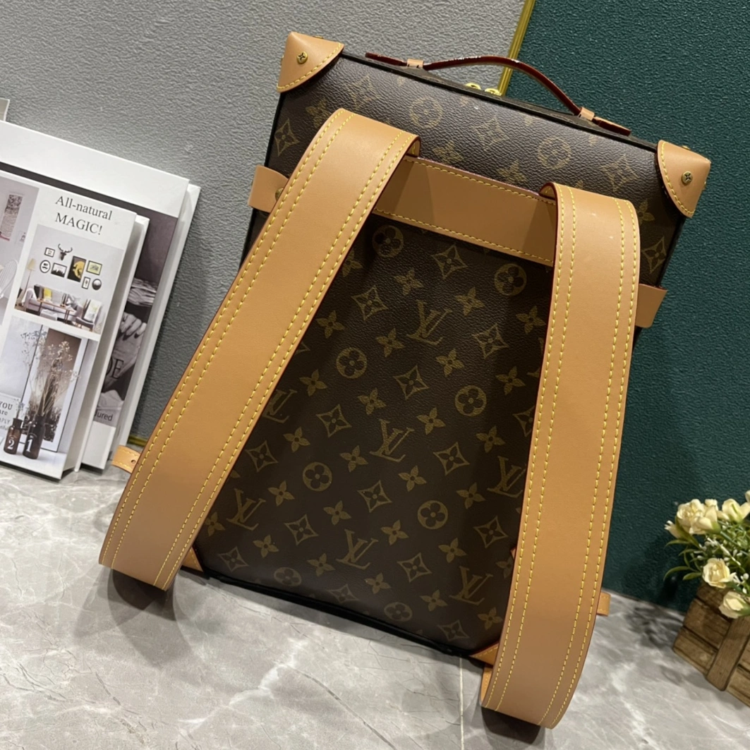 WellDesigned 6630 Louis Vuitton LV AAA Man Backpacks