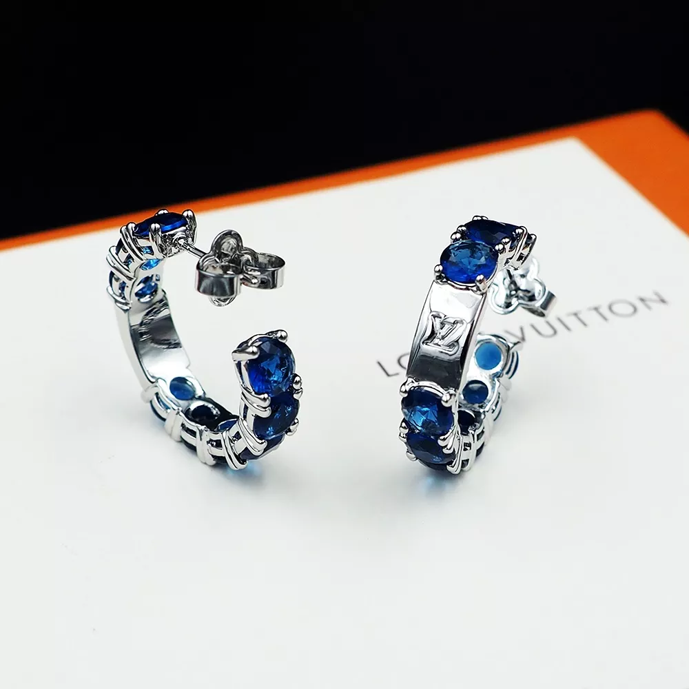 WellDesigned 7096 Louis Vuitton Earrings For Women