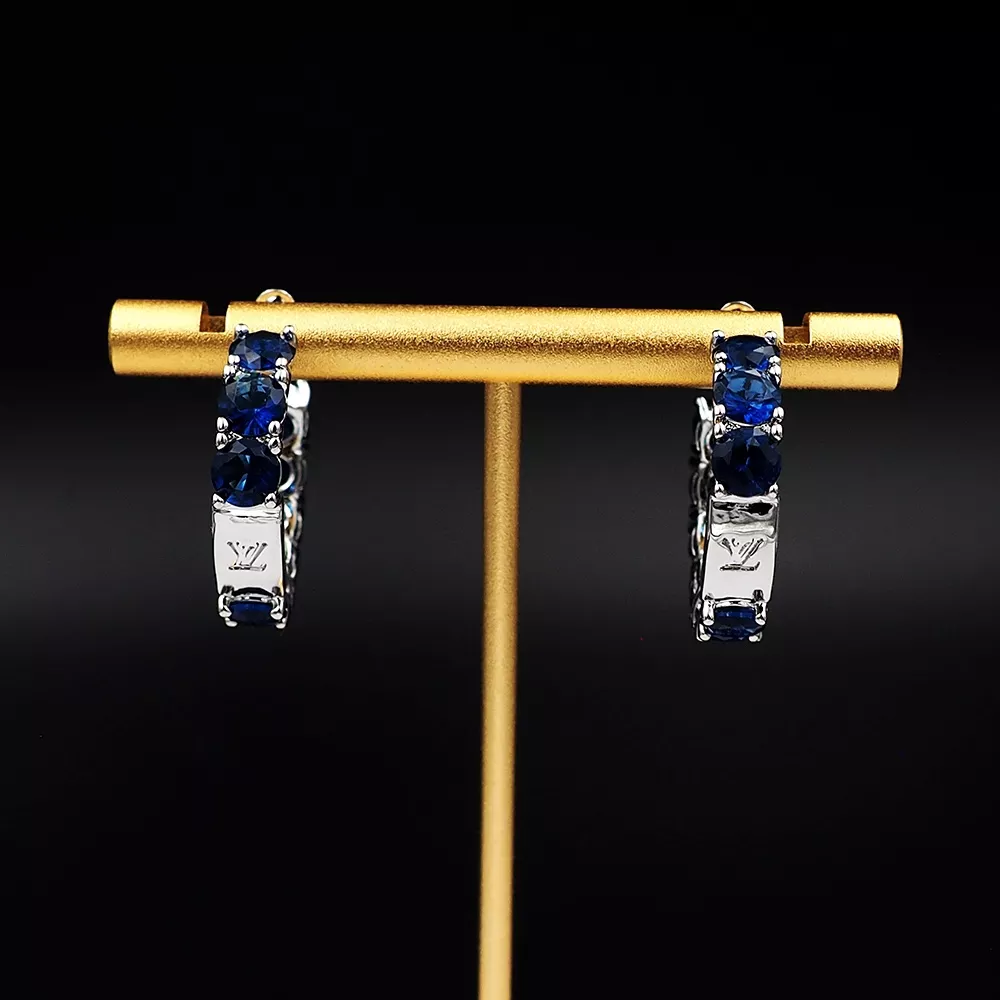 WellDesigned 7096 Louis Vuitton Earrings For Women