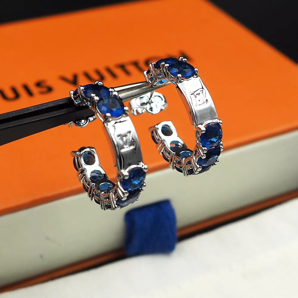 WellDesigned 7096 Louis Vuitton Earrings For Women