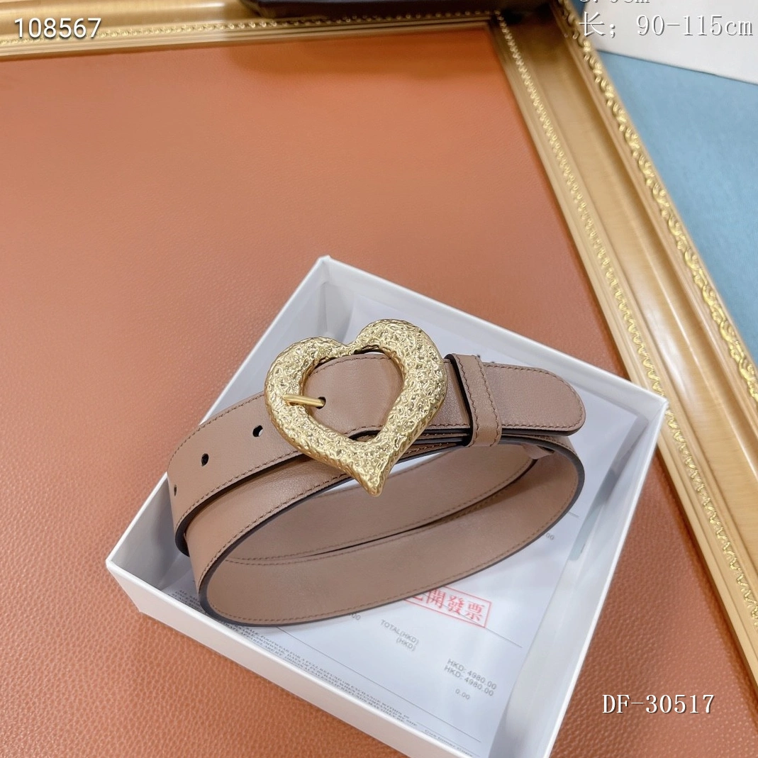 Yves Saint Laurent AAA Belts Soft 8791