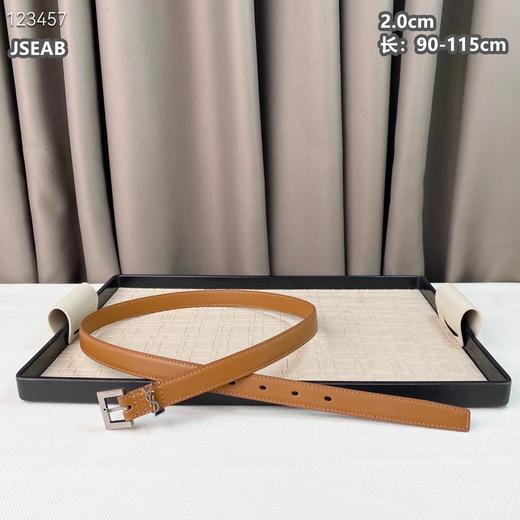 Yves Saint Laurent AAA Quality Belts For Women DailyWear 3998