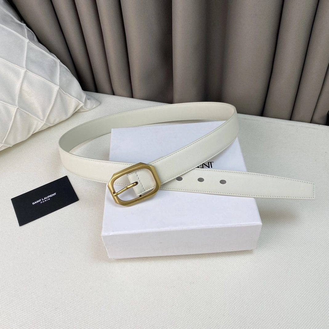 Yves Saint Laurent AAA Quality Belts For Women EasyMatch 4264