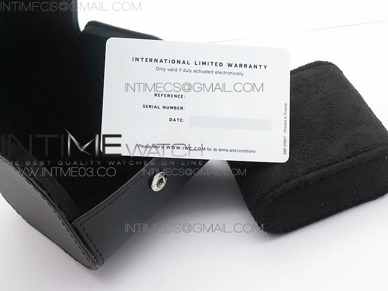 IWC Black Travel box