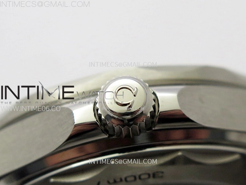 Seamaster Diver 300M B50F Black Ceramic Black Dial on SS Bracelet A8800