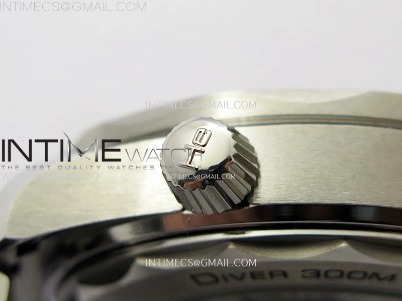 Seamaster Diver 300M B50F Black Ceramic Black Dial on SS Bracelet A8800