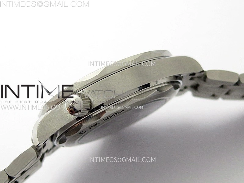 Seamaster Diver 300M B50F Black Ceramic White Dial on SS Bracelet A8800