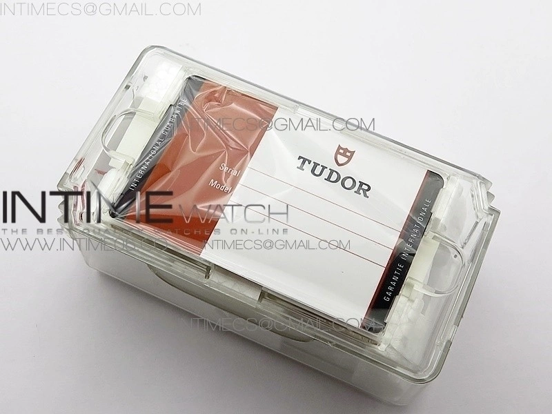 Tudor Protective Travel Plastic Watch Case