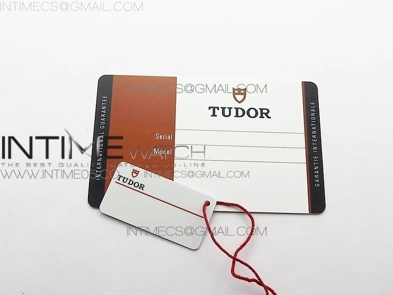 Tudor Protective Travel Plastic Watch Case