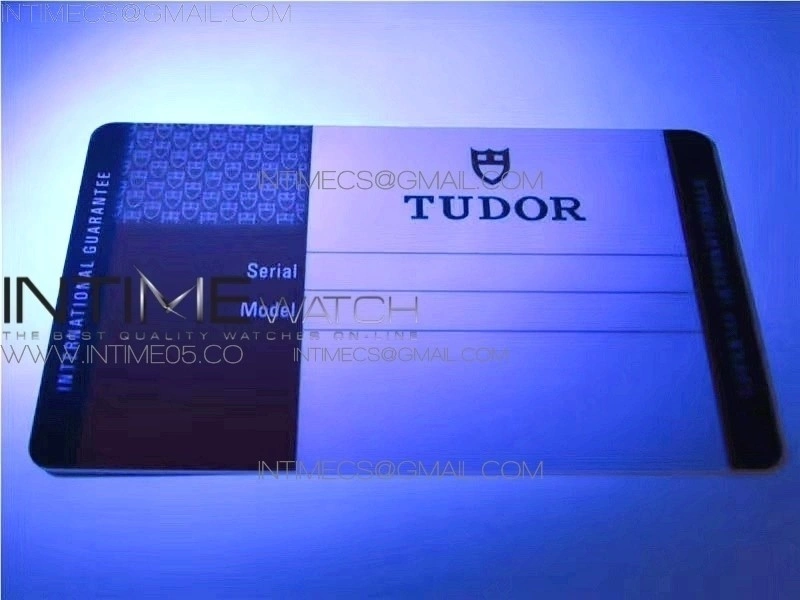 Tudor Protective Travel Plastic Watch Case