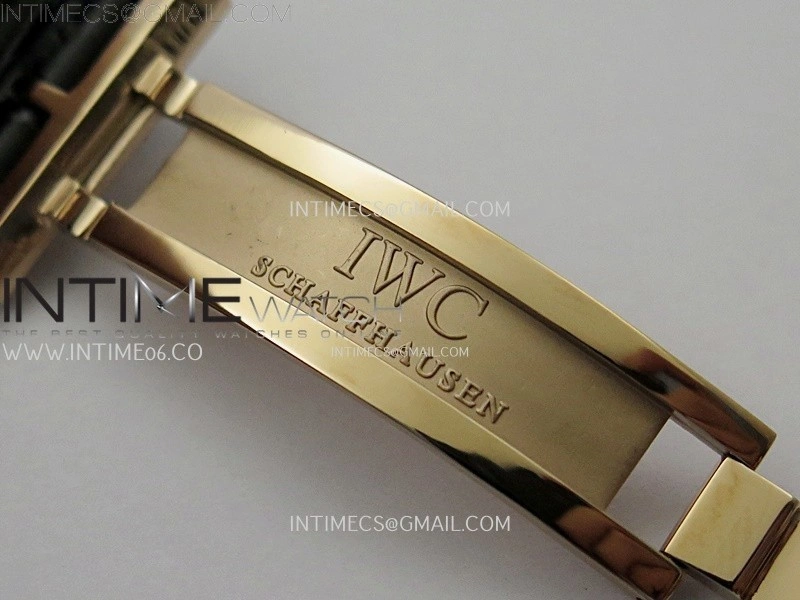 Portuguese Real PR IW501704 RG APSF 1:1 Best Edition Black Dial On Black Leather Strap A52010