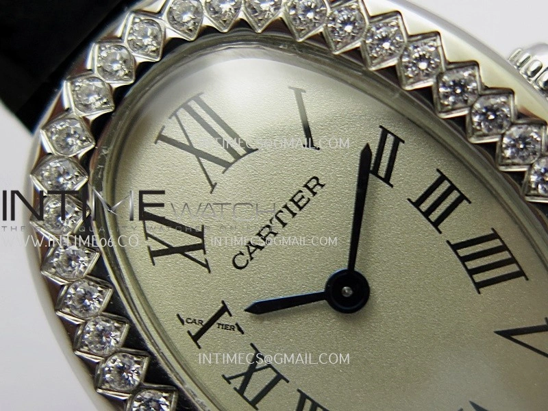 Baignoire Watch Diamond Bezel SS AF 1:1 Best Edition Silver Dial On Black Croco Strap RONDA Quartz