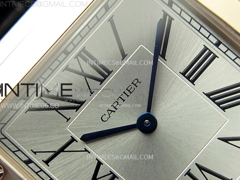 Santos Dumont 46.6mm SS RG F1F Best Edition Silver Dial on Black Leather Strap Quartz