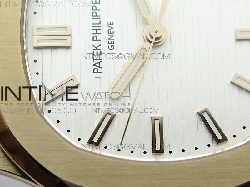 Nautilus 5711 1R PPF V4 1:1 Best Edition White Textured Dial on Brown Leater Strap 324CS
