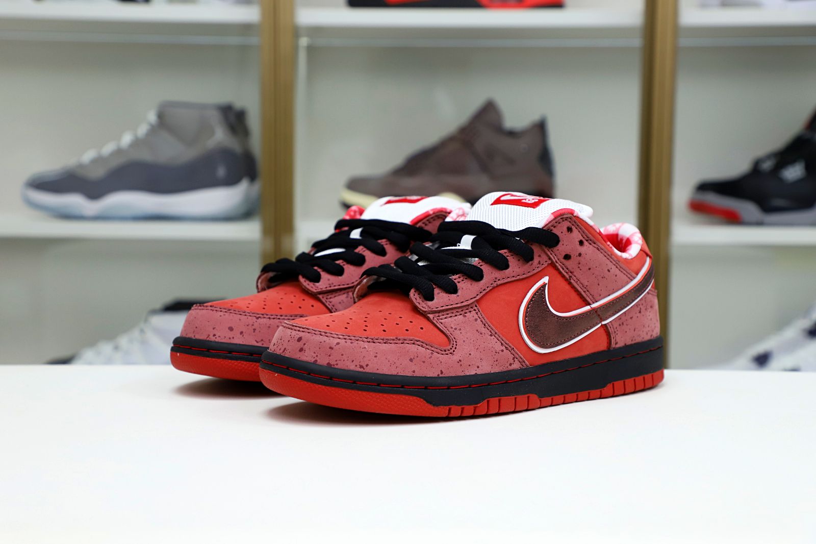 Kimi kick Concepts x Nike Dunk SB Low Red Lobster