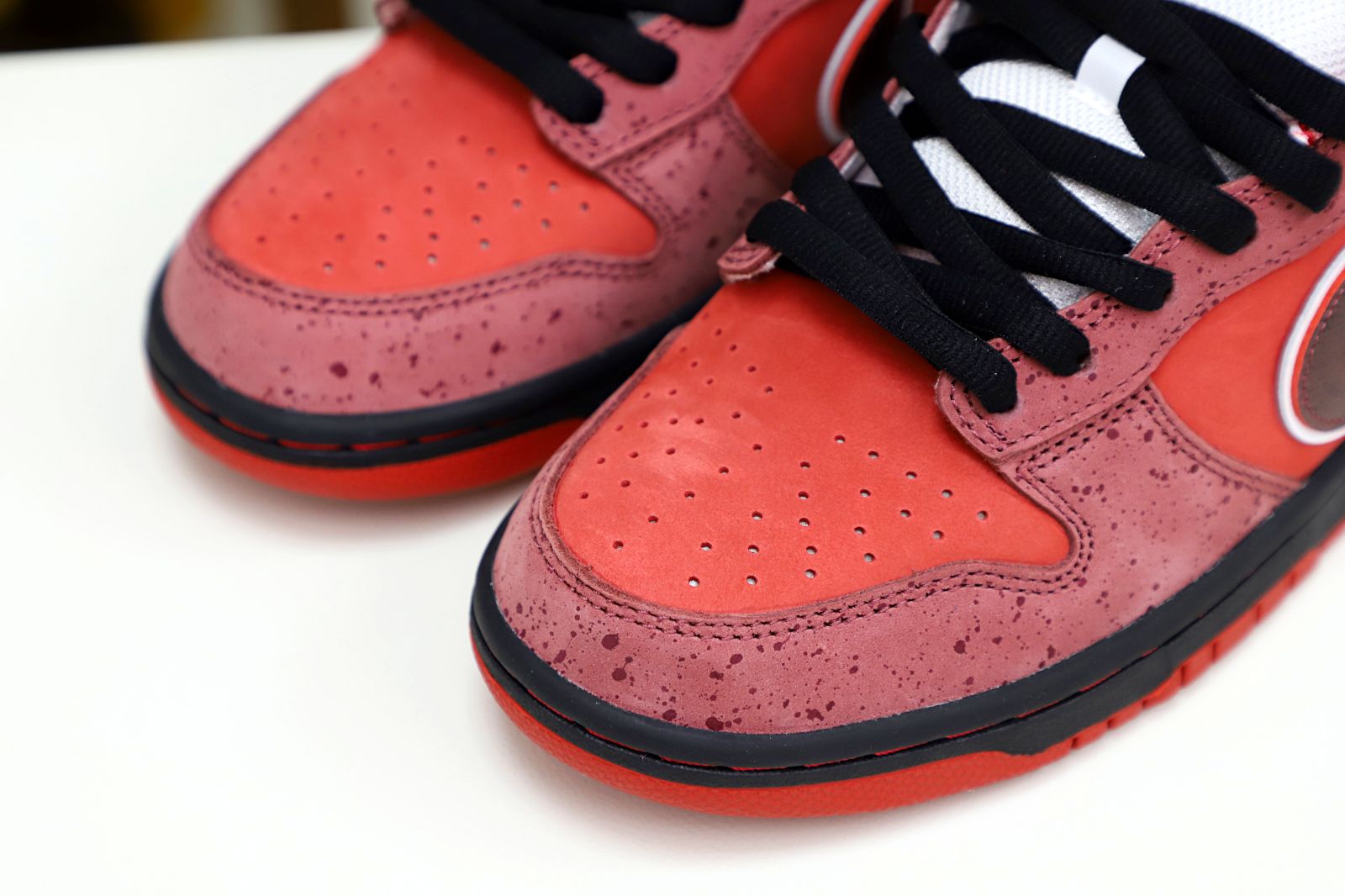 Kimi kick Concepts x Nike Dunk SB Low Red Lobster