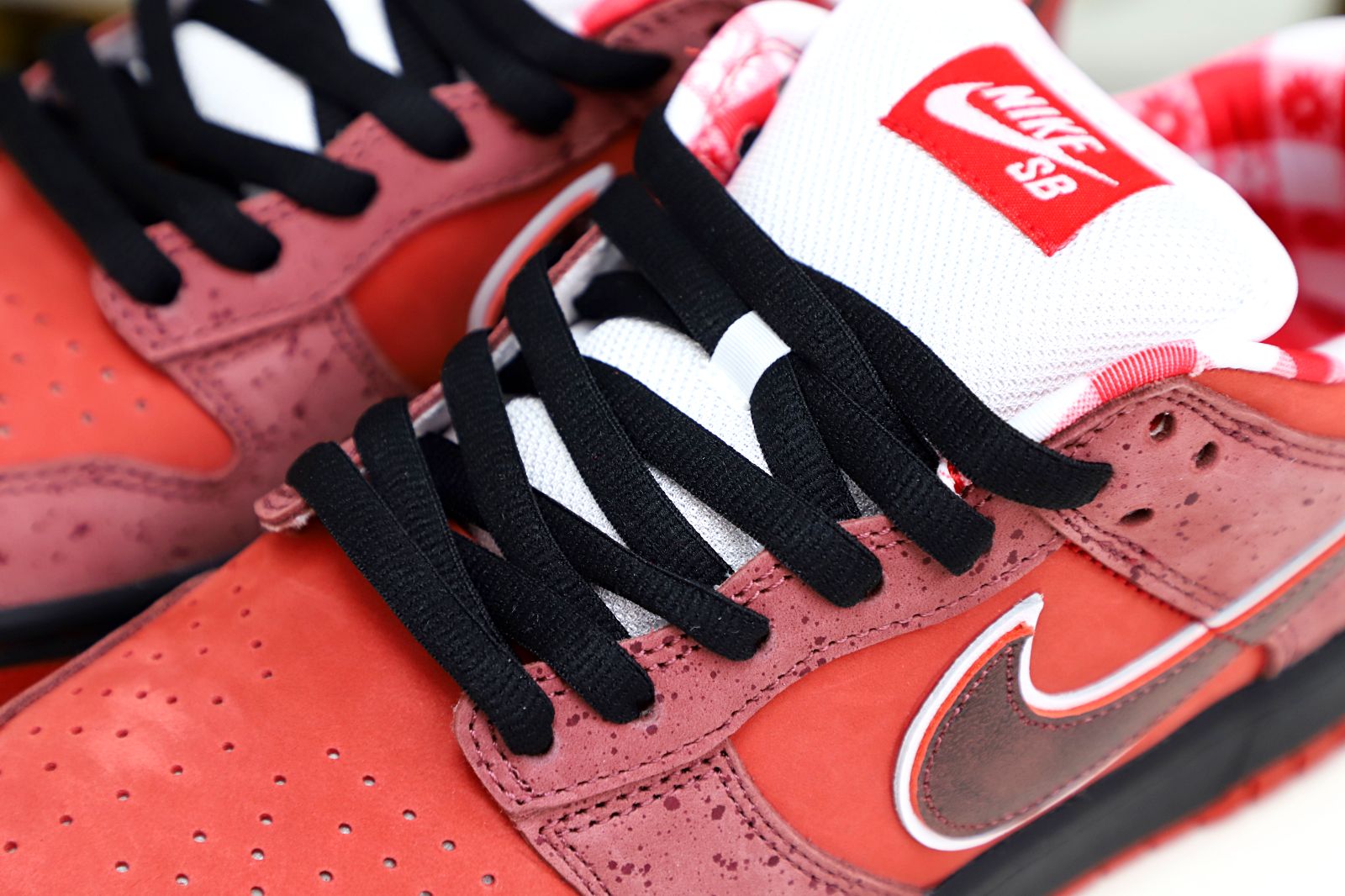 Kimi kick Concepts x Nike Dunk SB Low Red Lobster