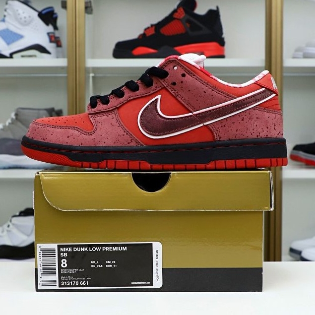 Kimi kick Concepts x Nike Dunk SB Low Red Lobster