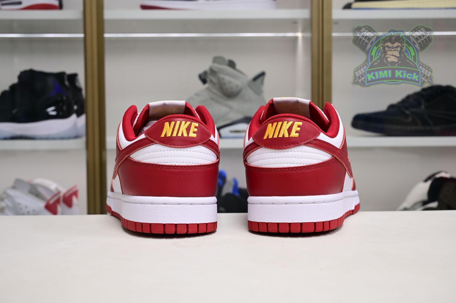 Kimi kick Nike Dunk Low Retro