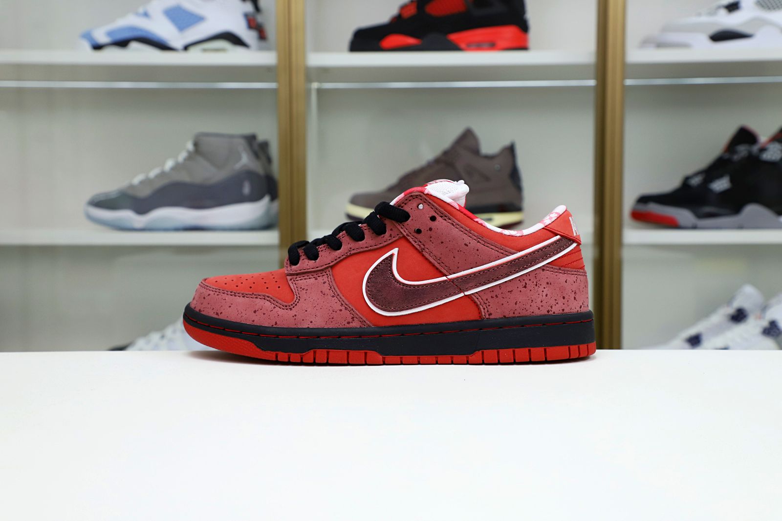 Kimi kick Concepts x Nike Dunk SB Low Red Lobster