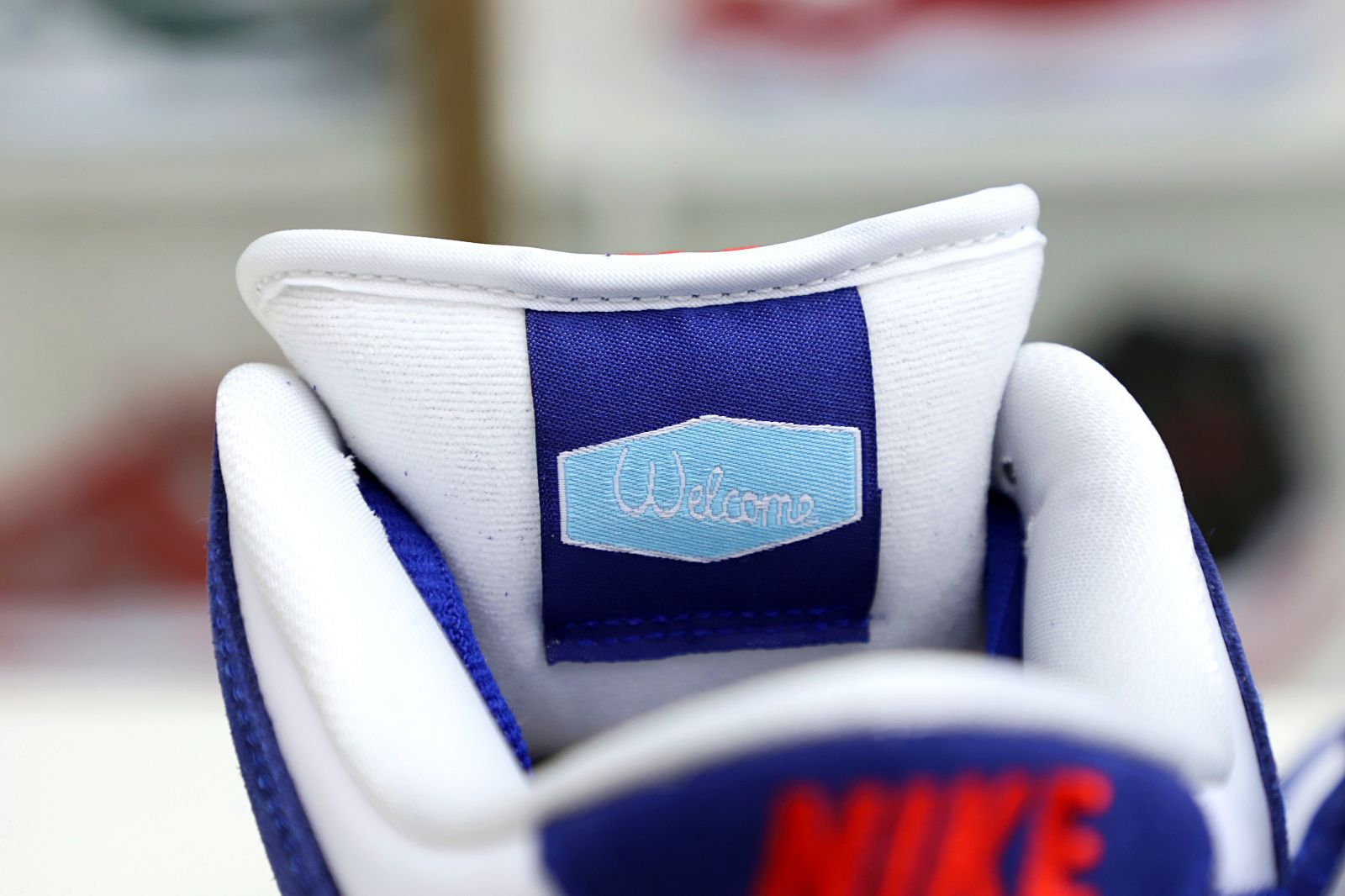 Kimi kick NIKE DUNK LOW PRO PRM 'LOS ANGELES'