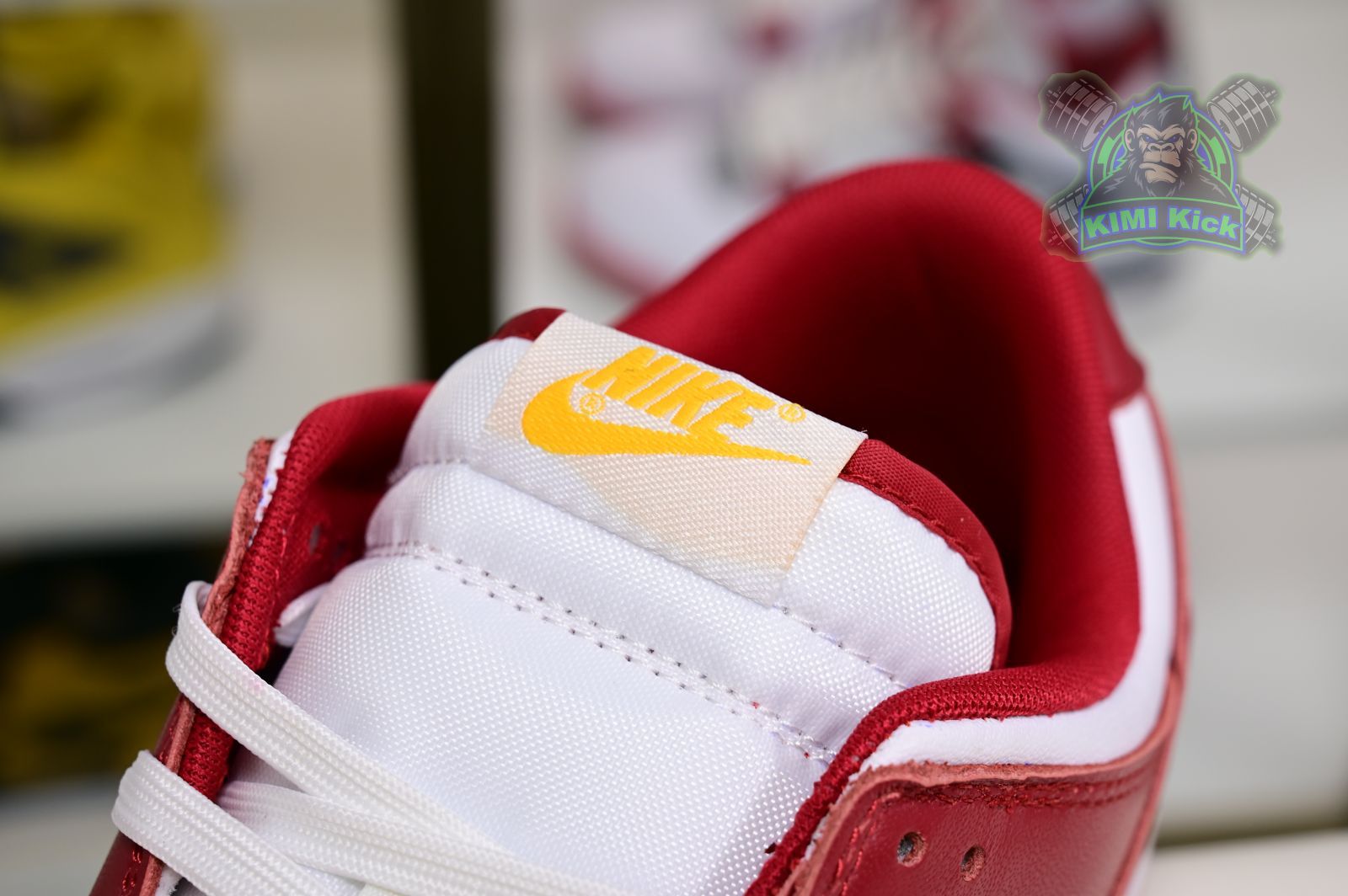 Kimi kick Nike Dunk Low Retro