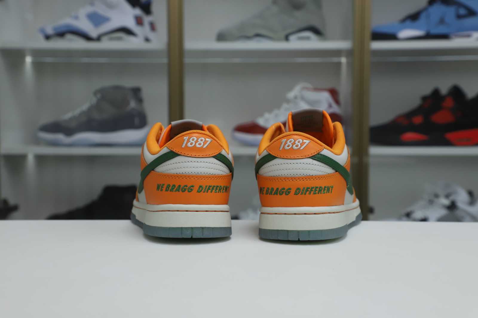 Kimi kick Nike Dunk Low  Florida A&amp;M x