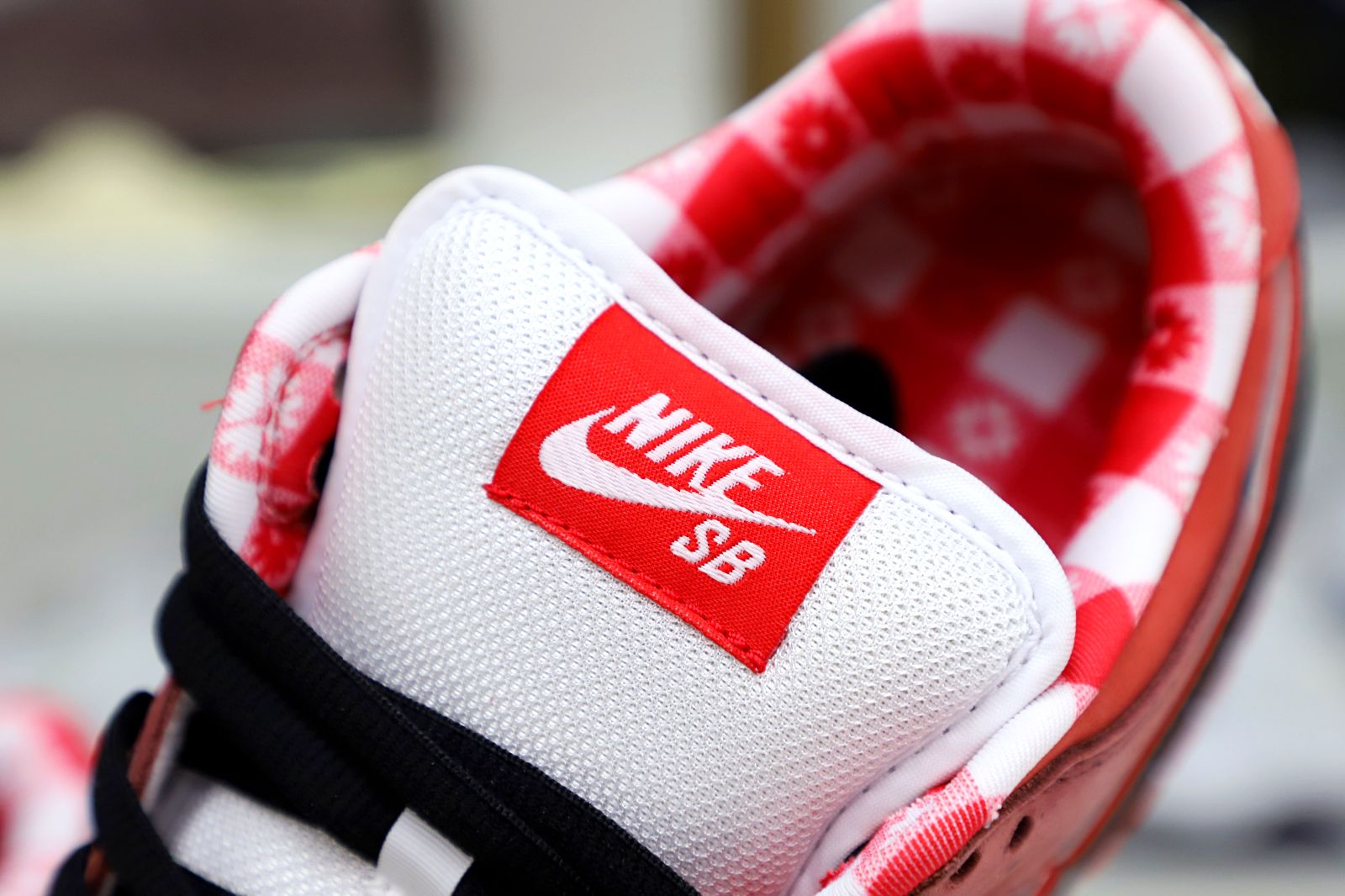 Kimi kick Concepts x Nike Dunk SB Low Red Lobster