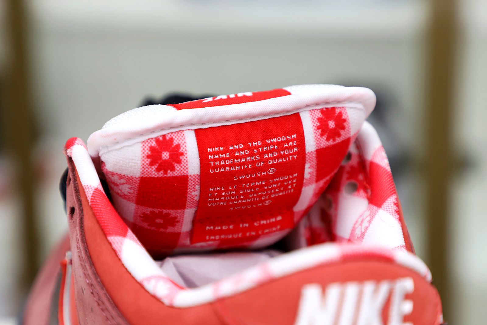 Kimi kick Concepts x Nike Dunk SB Low Red Lobster