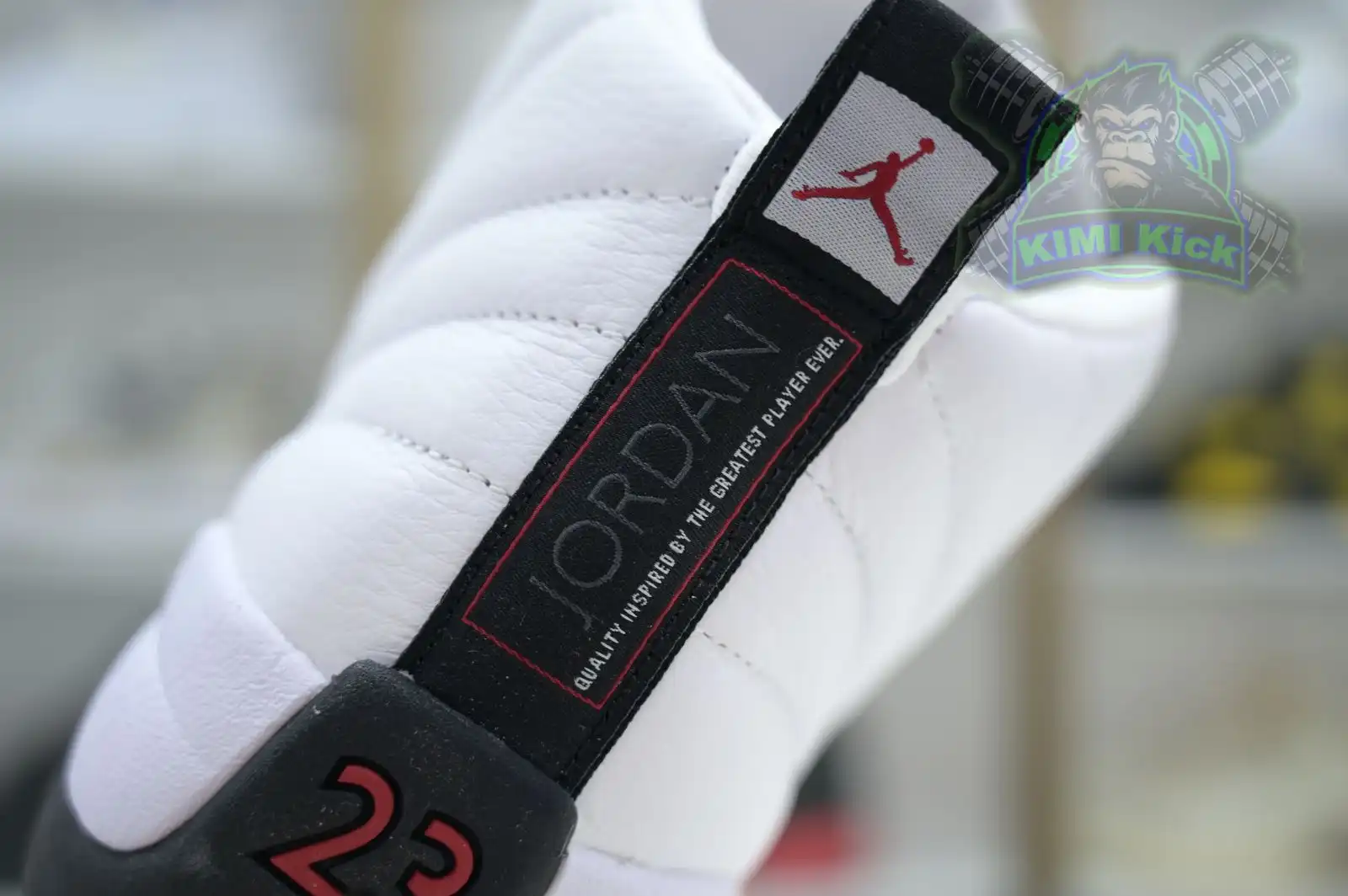 Kimikick Jordan Air Jordan 12