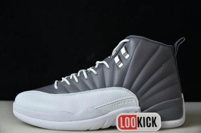 AIR JORDAN 12 STEALTH CT8025- Fashionable 662