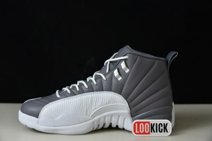 AIR JORDAN 12 STEALTH CT8025- Fashionable 662