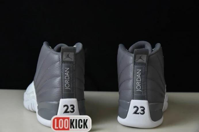 AIR JORDAN 12 STEALTH CT8025- Fashionable 662