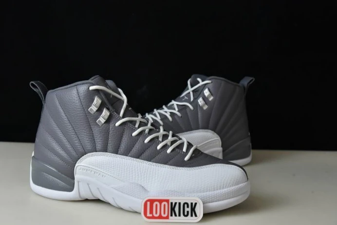AIR JORDAN 12 STEALTH CT8025- Fashionable 662