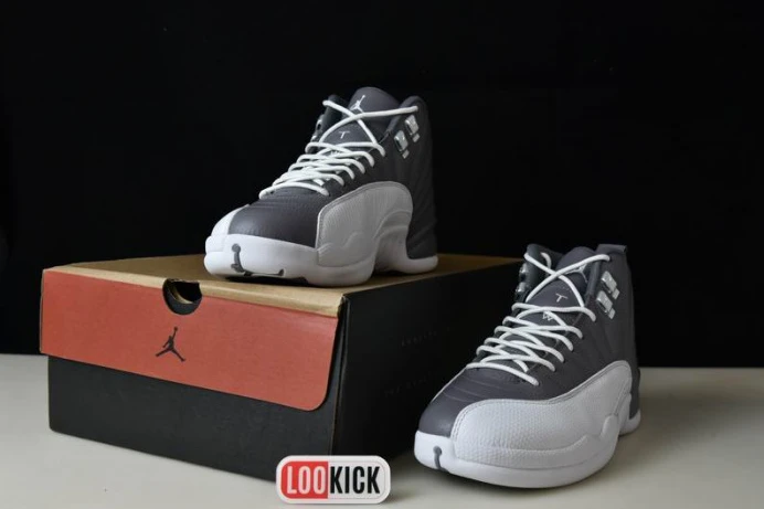AIR JORDAN 12 STEALTH CT8025- Fashionable 662