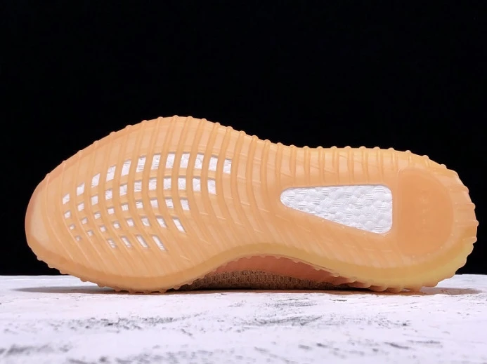 Adidas Yeezy Boost 350 V2 Clay EG GoAnywhere 448