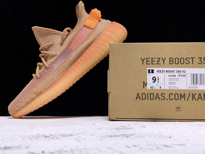 Adidas Yeezy Boost 350 V2 Clay EG GoAnywhere 448