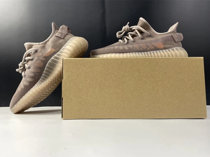 Adidas Yeezy Boost 350 V2 Mono Mist GW WellDesigned 308